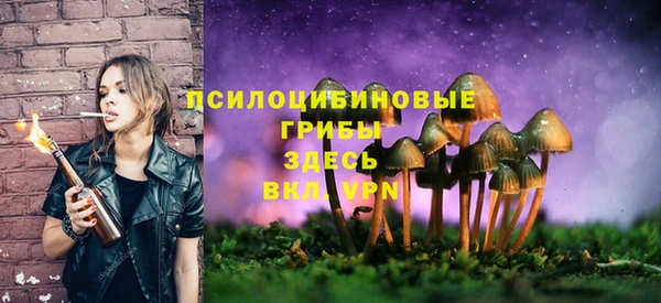 стафф Беломорск